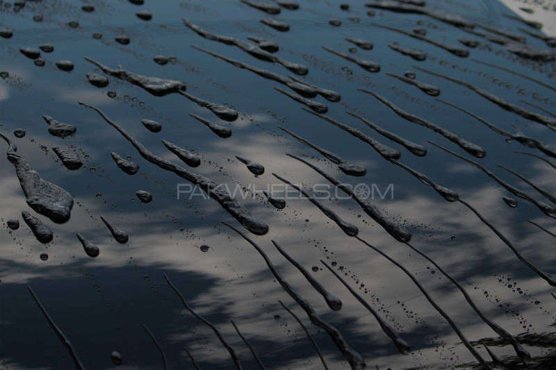 Rain-X Glass Water Repellent 473ML Rain-X Glass Water Repellent 473ML Image-5