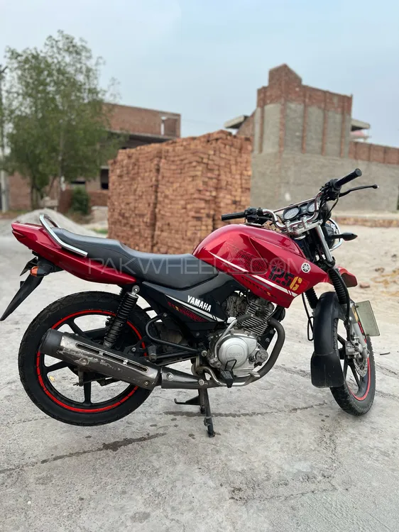 Yamaha YBR 125 2021 for Sale Image-1
