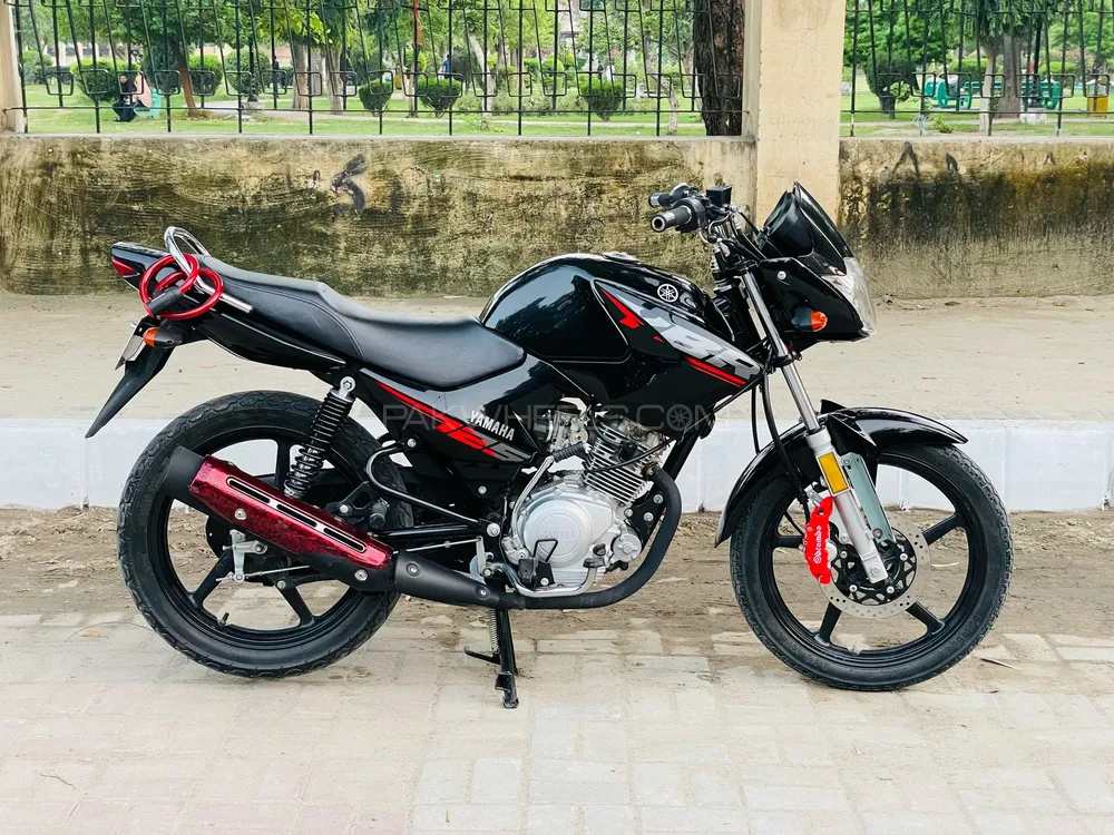 Yamaha YBR 125 2025 for Sale Image-1