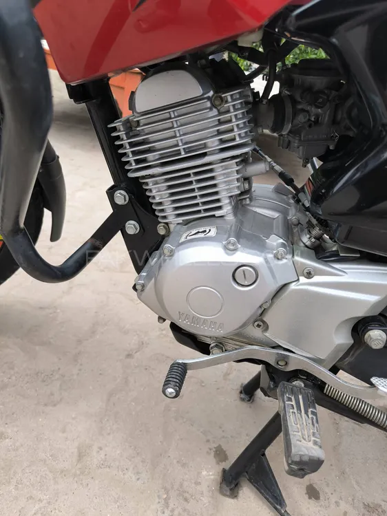 Yamaha YBR 125 2019 for Sale Image-1