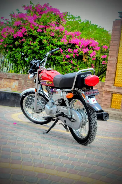 Honda CG 125 Special Edition 2024 for Sale Image-1