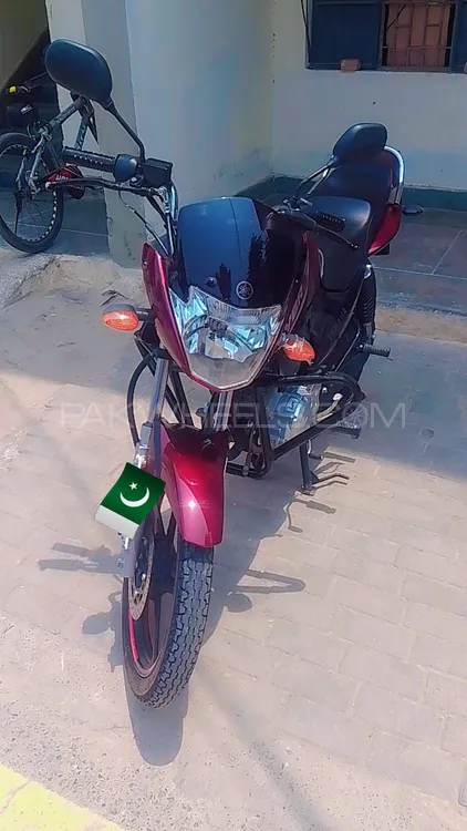 Yamaha YBR 125 2023 for Sale Image-1