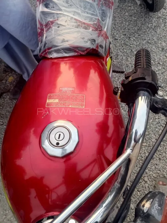 Union Star 70 Deluxe 2019 for Sale Image-1