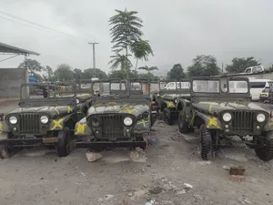 Jeep Wrangler 1961 for Sale