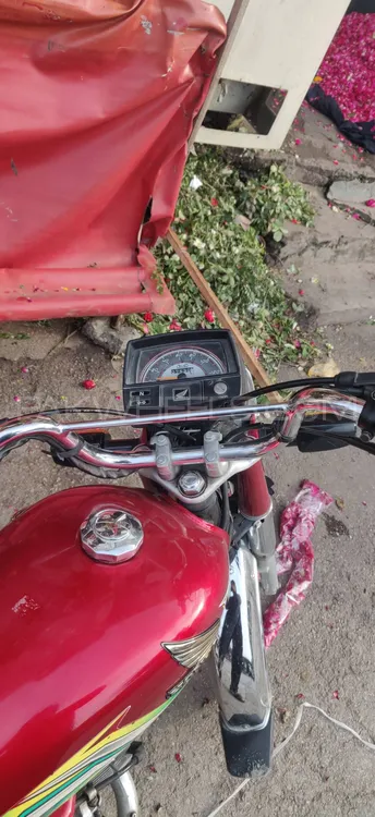 Honda CD 70 2023 for Sale Image-1