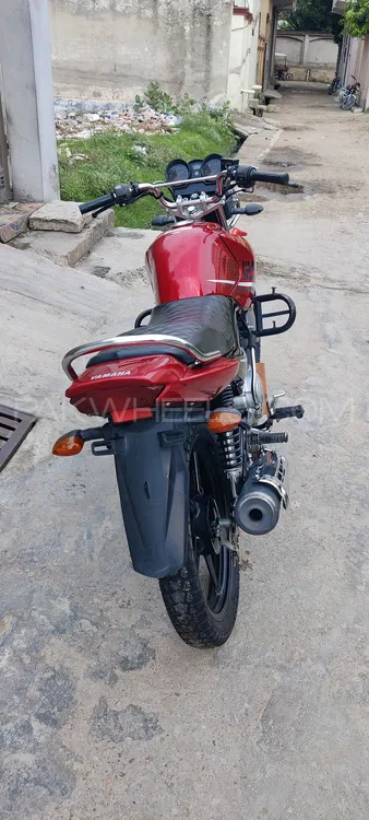 Yamaha YBR 125 2022 for Sale Image-1