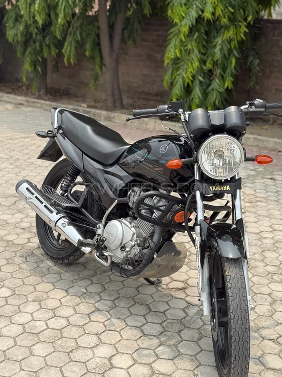 Yamaha YBR 125 2023 for Sale Image-1