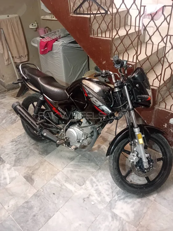 Yamaha YBR 125 2024 for Sale Image-1