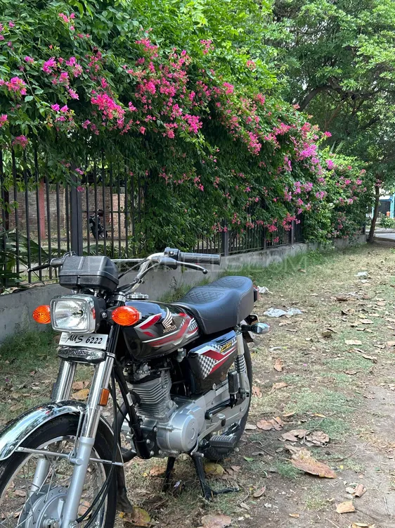 Honda CG 125 2024 for Sale Image-1