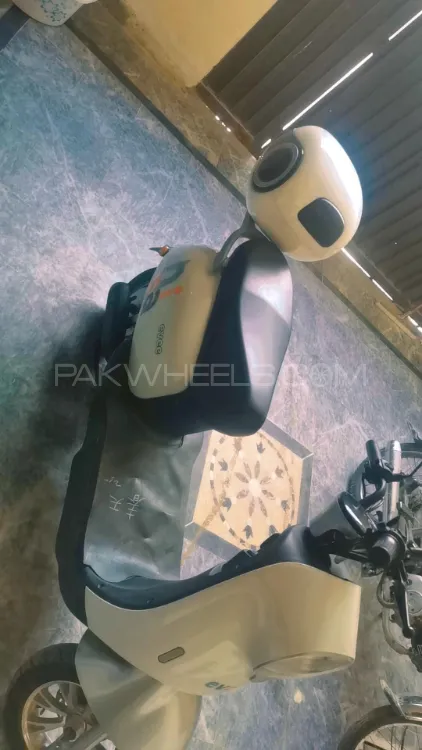 Evee Nisa 2025 for Sale Image-1