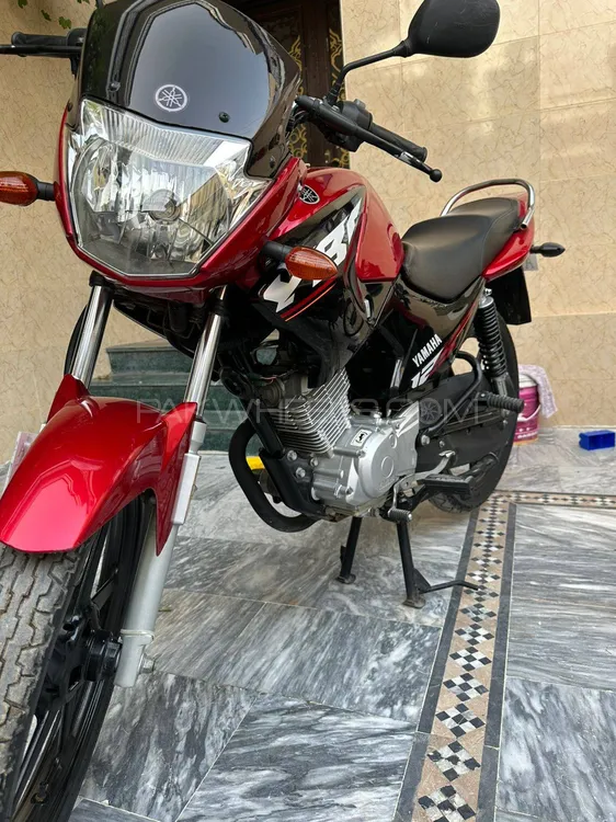 Yamaha YBR 125 2024 for Sale Image-1