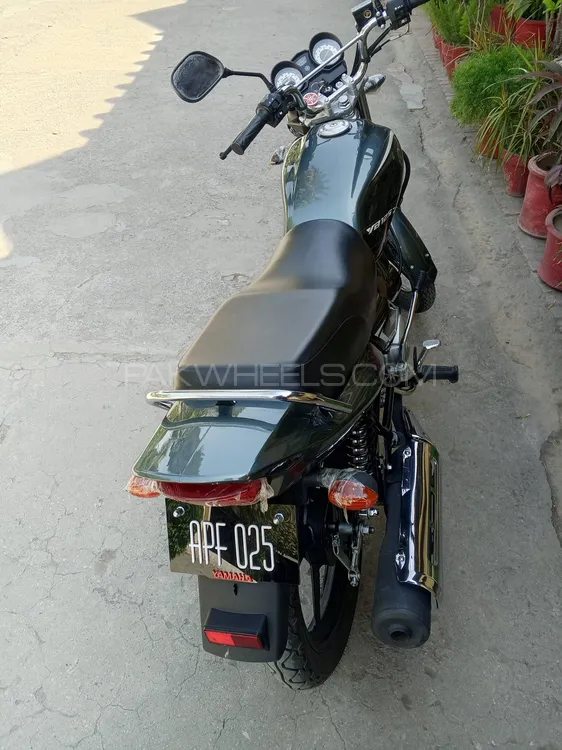 Yamaha YBR 125 2025 for Sale Image-1