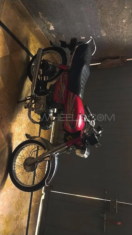 Union Star US 70cc 2022 for Sale Image-1