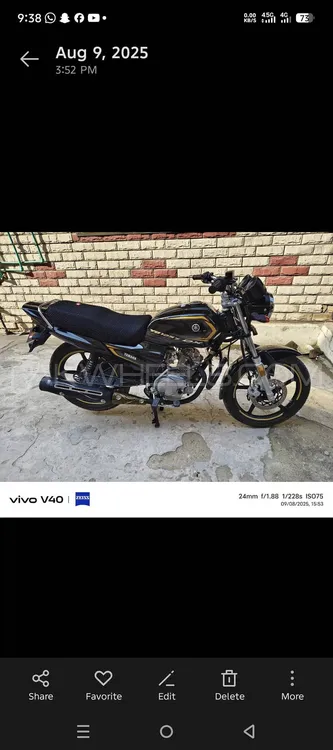 Yamaha YB 125Z-DX 2025 for Sale Image-1