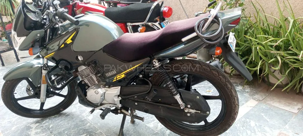 Yamaha YBR 125 2025 for Sale Image-1