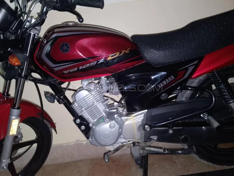 Yamaha YB 125Z-DX 2024 for Sale Image-1
