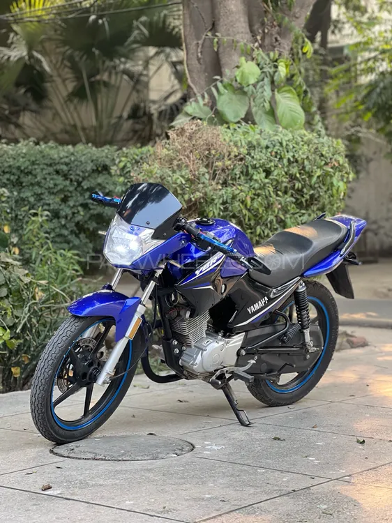 Yamaha YBR 125 2021 for Sale Image-1