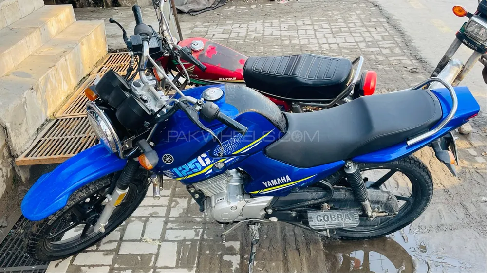 Yamaha YBR 125 2022 for Sale Image-1