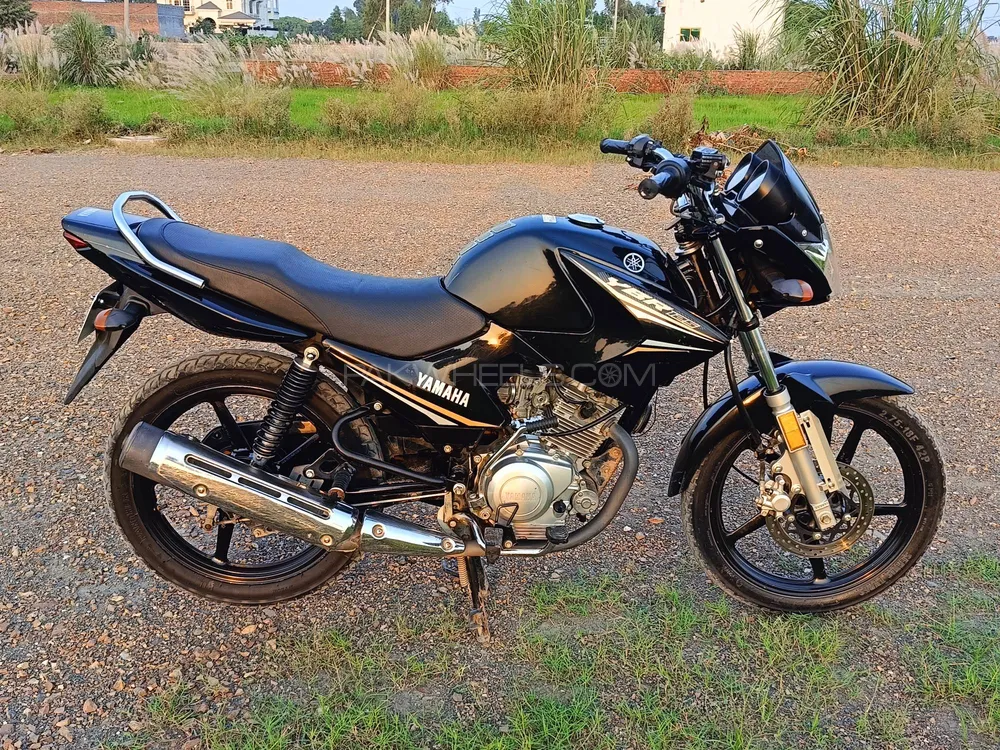 Yamaha YBR 125 2024 for Sale Image-1