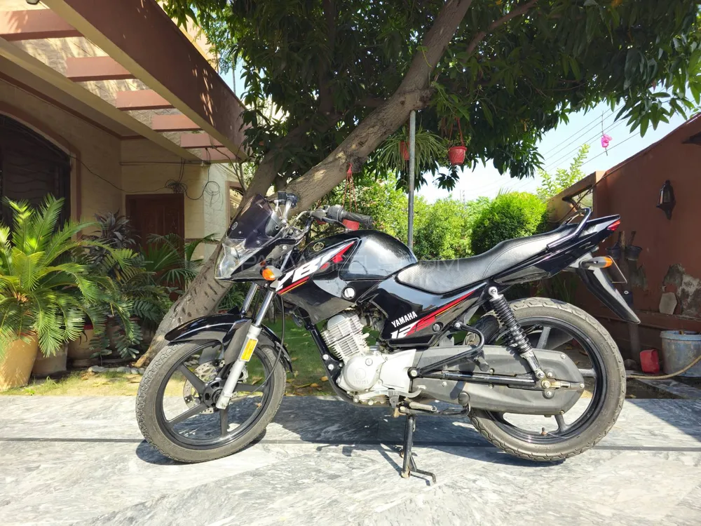 Yamaha YBR 125 2024 for Sale Image-1