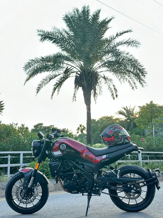 بنیلی Leoncino 250 2023 for Sale Image-1