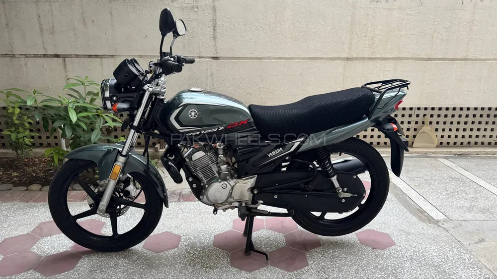Yamaha YB 125Z-DX 2024 for Sale Image-1