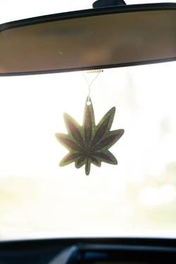 Airshots Leaf Car Perfume & Car AirFreshener - Long Lasting Fragrance For Cars Airshots Leaf Car Perfume & Car AirFreshener - Long Lasting Fragrance For Cars