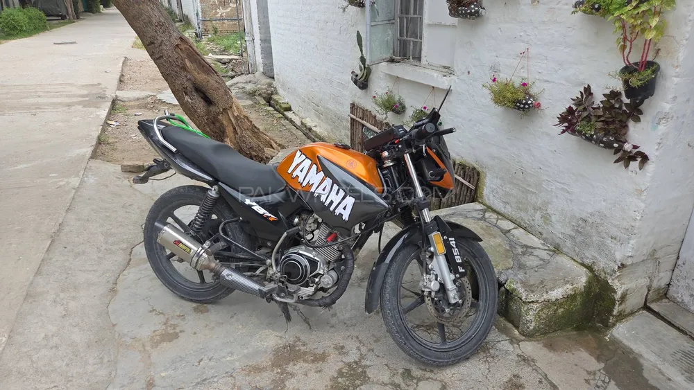 Yamaha YBR 125 2019 for Sale Image-1
