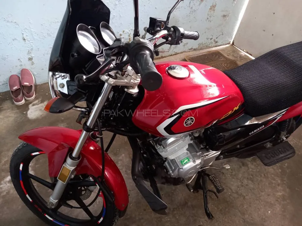 Yamaha YB 125Z-DX 2024 for Sale Image-1