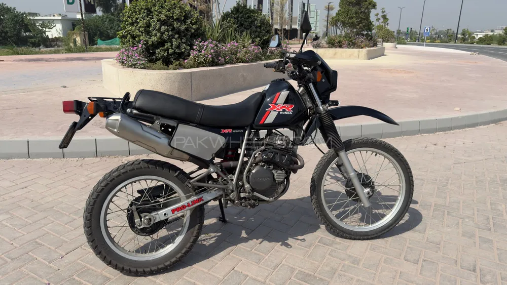Chinese Bikes Other 1989 for Sale Image-1