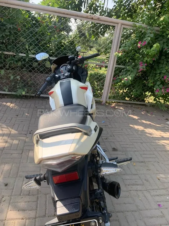 Super Power Leo 200 2017 for Sale Super Power Leo 200 2017 for Sale Image-7