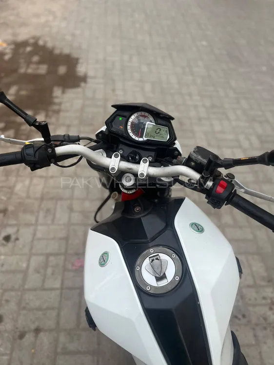 Benelli TNT 25  2019 for Sale Benelli TNT 25  2019 for Sale Image-7