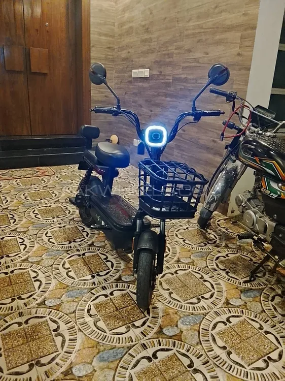 Evee Flipper 2025 for Sale Evee Flipper 2025 for Sale Image-1