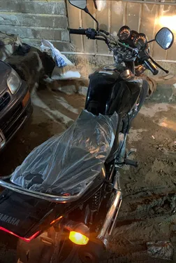Yamaha YBR 125 2025