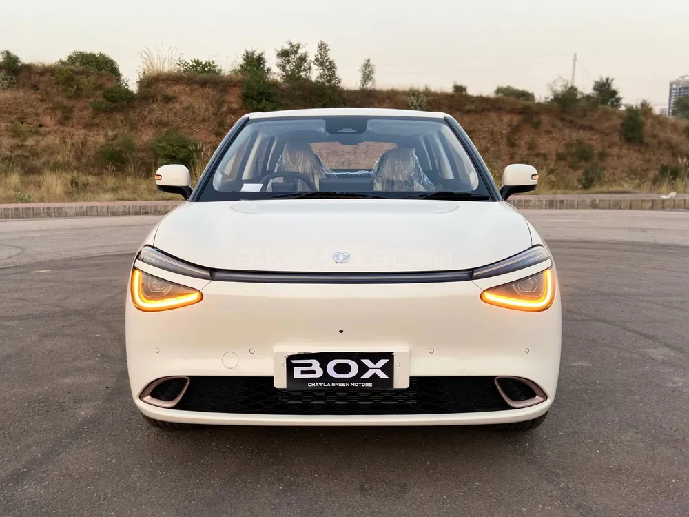 Dongfeng Box 2025 for Sale in Islamabad Image-1