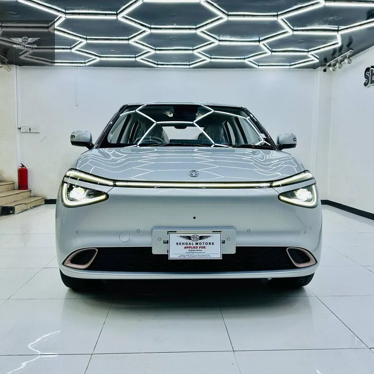 Dongfeng Box 2025 for Sale in Islamabad Image-1