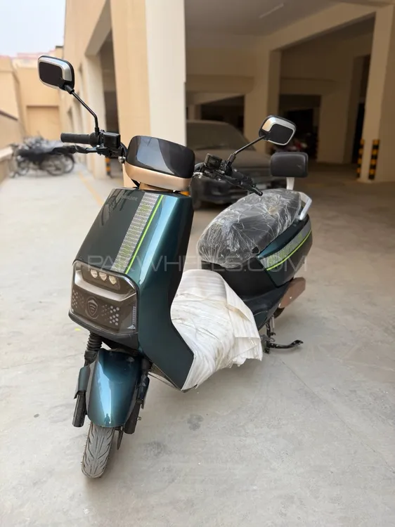 Benling Firefly 2025 for Sale Image-1