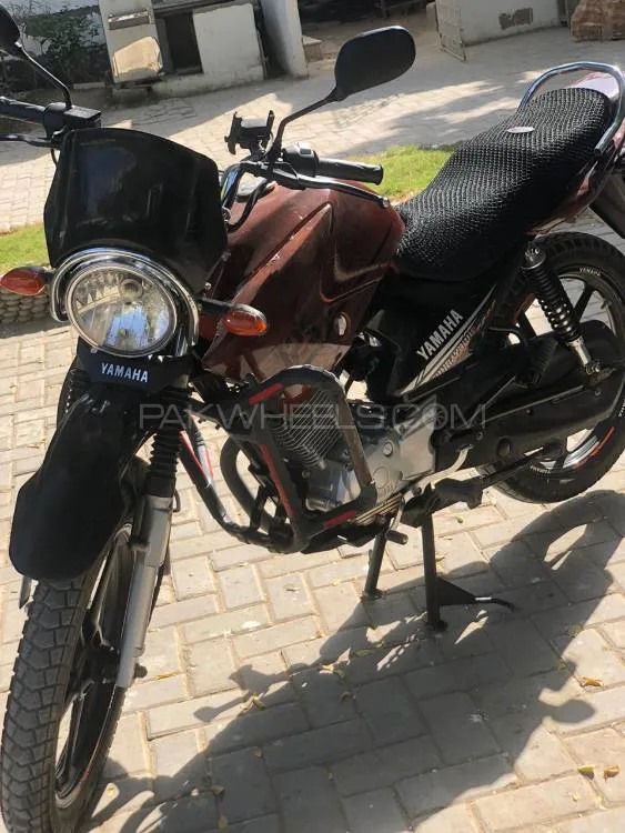 Yamaha YBR 125 2024 for Sale Image-1