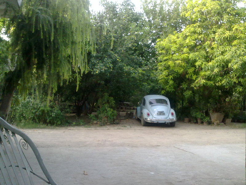 Volkswagen Beetle 1967 for Sale in Rawalpindi Image-1
