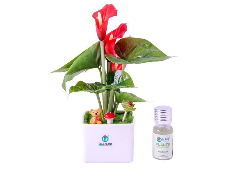 Mini Plant Perfume - Simulation Aromatherapy - PL 09 Image-1