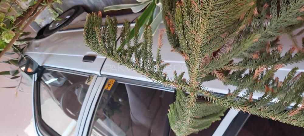 Suzuki Mehran 2017 for Sale in Bahawalpur Suzuki Mehran 2017 for Sale in Bahawalpur Image-5