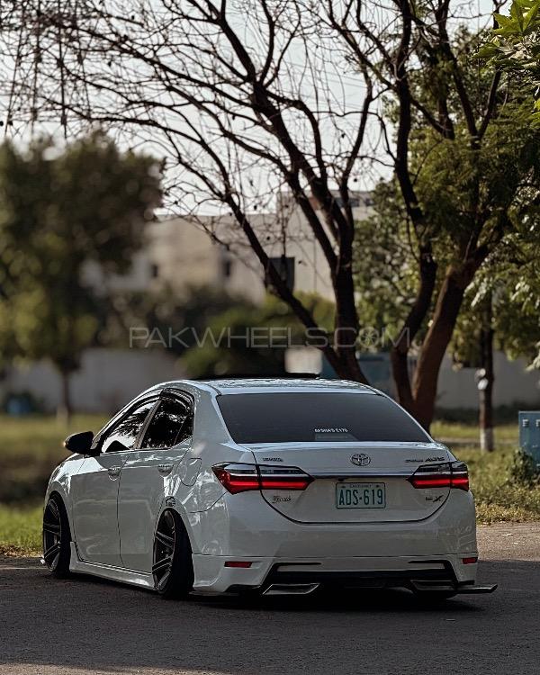 Toyota Corolla - 2022 Panda Image-1