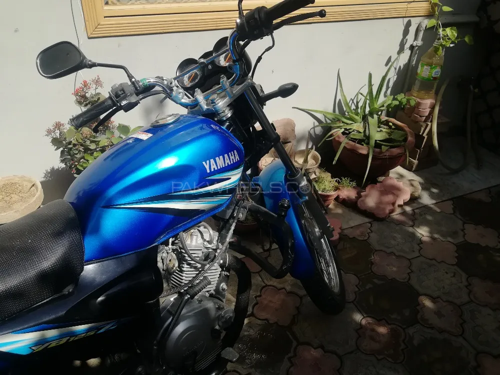 Yamaha YBR 125 2019 for Sale Image-1