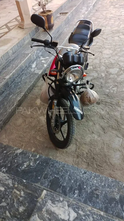 Yamaha YBR 125 2020 for Sale Image-1