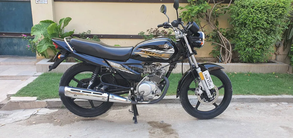 Yamaha YB 125Z-DX 2021 for Sale Image-1
