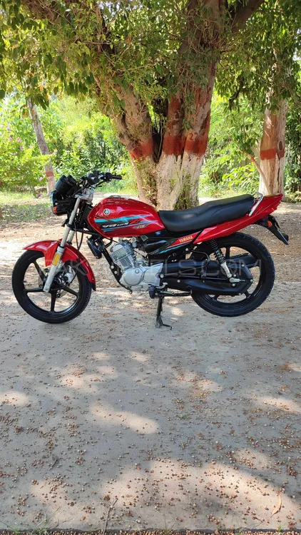 Yamaha YB 125Z-DX 2022 for Sale Image-1