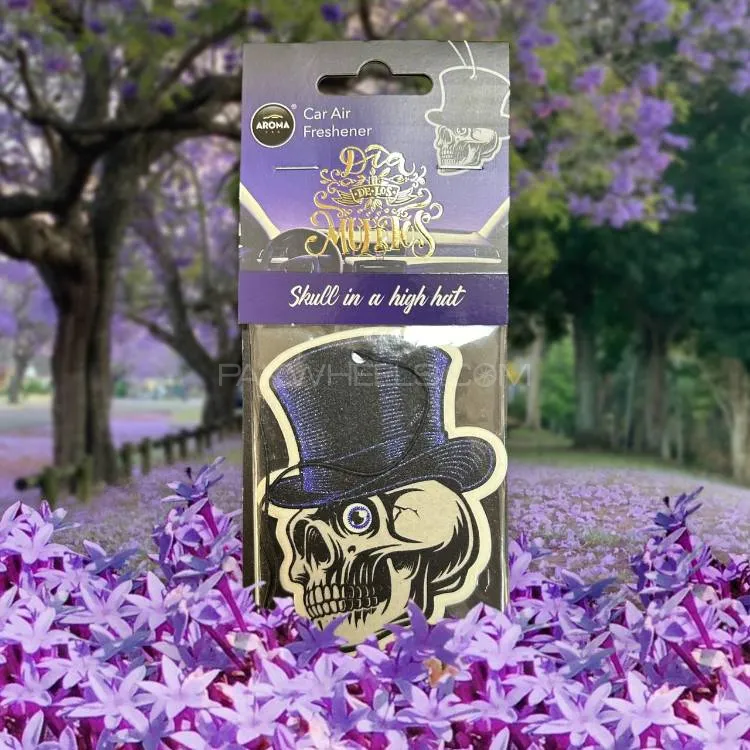Aroma Air freshener High Hat Skull Series Image-1