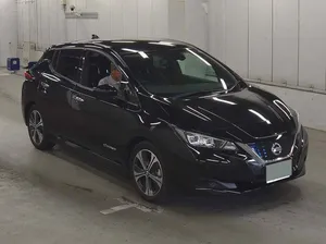 Nissan Leaf SL Plus 2020 for Sale