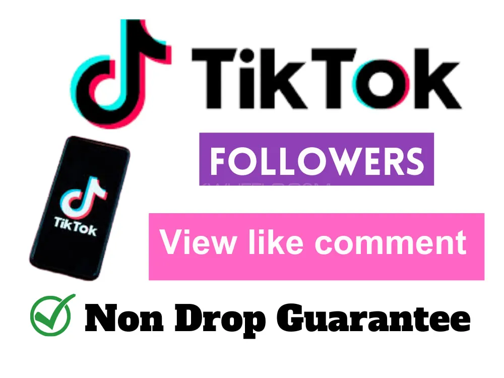 Tiktok Views, Likes and followers Image-1