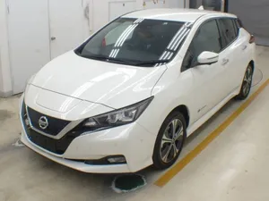 Nissan Leaf 2020 for Sale